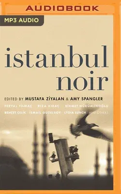 Istanbul Noir