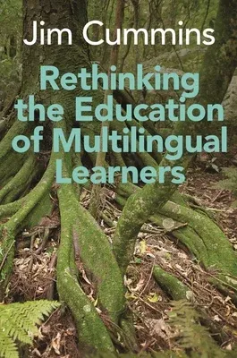 Rethinking the Education of Multilingual Learners: A Critical Analysis of Theoretical Concepts