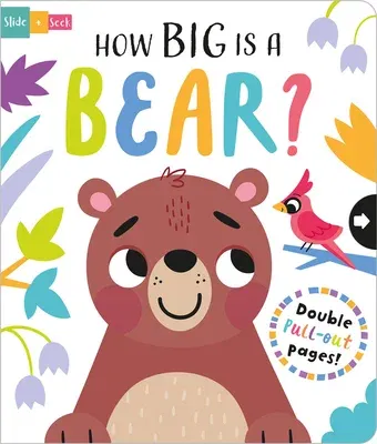 How Big Is a Bear?