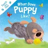 What Does Puppy Like?: Touch & Feel Board Book