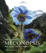 The Genus Meconopsis: Blue Poppies and Their Relatives