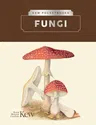 Kew Pocketbooks: Fungi