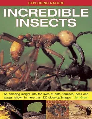 Exploring Nature: Incredible Insects: An Amazing Insight Into the Lives of Ants, Termites, Bees and Wasps, Shown in More Than 220 Close-Up Images