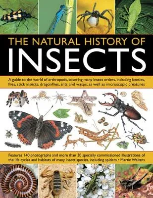 The Natural History of Insects: A Guide to the World of Arthropods, Covering Many Insect Orders, Including Beetles, Flies, Stick Insects, Dragonflies,