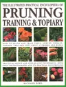 Illustrated Practical Encyclopedia of Pruning, Training and Topiary: How to Prune and Train Trees, Shrubs, Hedges, Topiary, Tree and Soft Fruit, Climb