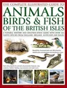 The Complete Illustrated Guide to Animals, Birds & Fish of the British Isles: A Natural History and Identification Guide with Over 440 Native Species from