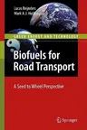 Biofuels for Road Transport: A Seed to Wheel Perspective (2009)