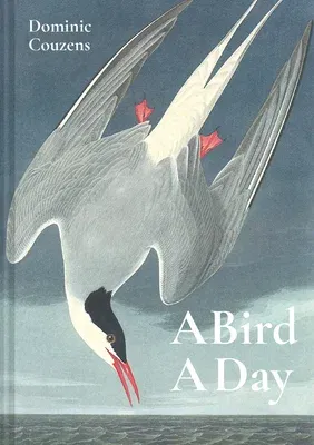 Bird a Day