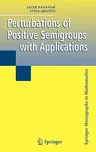 Perturbations of Positive Semigroups with Applications (2006)