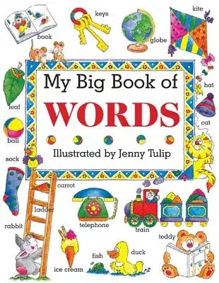 My Big Book of Words