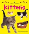 Say and Point Picture Boards: Kittens