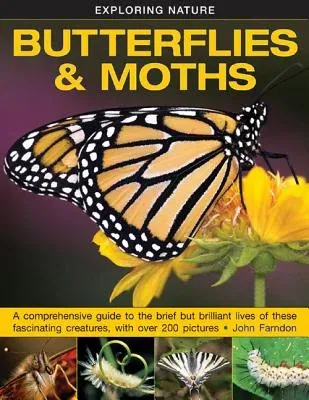 Exploring Nature: Butterflies & Moths: A Comprehensive Guide to the Brief But Brilliant Lives of These Fascinating Creatures, with Over 200 Pictures