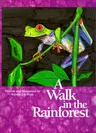 Walk in the Rainforest