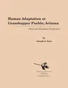 Human Adaptation at Grasshopper Pueblo, Arizona: Social and Ecological Perspectives