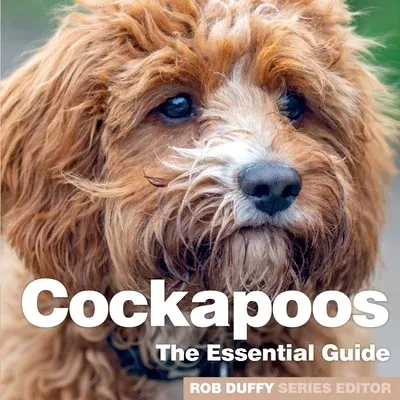 Cockerpoos