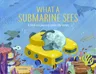 What a Submarine Sees: A Fold-Out Journey Under the Waves