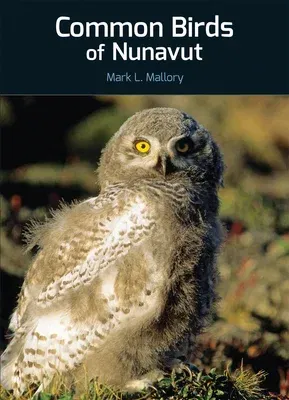 Common Birds of Nunavut (English)