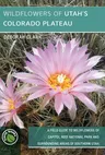 Wildflowers of Utah's Colorado Plateau: A Field Guide to Wildflowers of Capitol Reef National Park and Surrounding Areas of Southern Utah