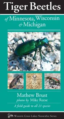 Tiger Beetles of Minnesota, Wisconsin & Michigan