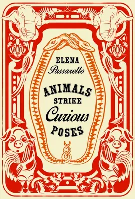 Animals Strike Curious Poses