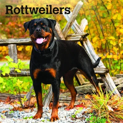 Rottweilers 2023 Square