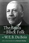 The Souls of Black Folk by W.E.B. Du Bois: With a Critical Introduction by Patricia H. Hinchey