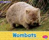 Wombats: A 4D Book (Revised)