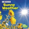 Sunny Weather: A 4D Book