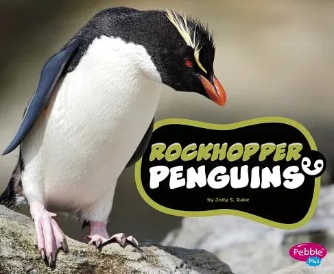 Rockhopper Penguins