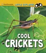 Cool Crickets