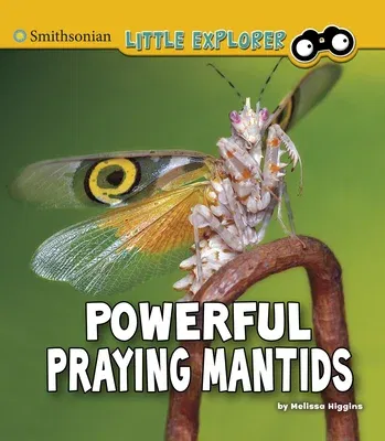 Powerful Praying Mantids