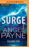 Surge: The Bolt Saga Volume 5: Parts 13, 14 & 15