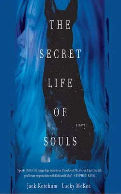 The Secret Life of Souls