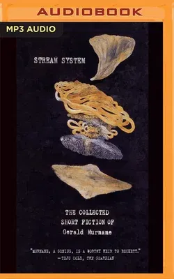 Stream System: The Collected Short Fiction of Gerald Murnane