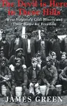 The Devil Is Here in These Hills: West Virginia's Coal Miners and Their Battle for Freedom