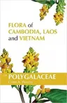 Flora of Cambodia, Laos and Vietnam: Volume 34: Polygalaceae