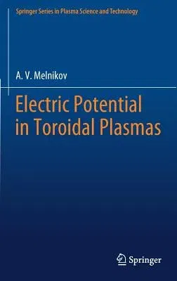 Electric Potential in Toroidal Plasmas (2019)