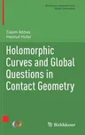 Holomorphic Curves and Global Questions in Contact Geometry (2019)