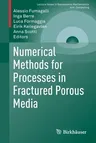 Numerical Methods for Processes in Fractured Porous Media (2019)