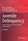 Juvenile Delinquency: Theory, Research, and the Juvenile Justice Process (2020)