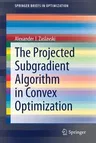 The Projected Subgradient Algorithm in Convex Optimization (2020)