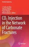 Co2 Injection in the Network of Carbonate Fractures (2021)