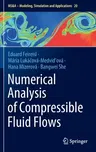 Numerical Analysis of Compressible Fluid Flows (2021)