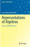 Representations of Algebras: Tame and Wild Behavior (2022)