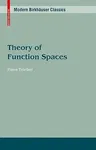 Theory of Function Spaces