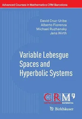 Variable Lebesgue Spaces and Hyperbolic Systems (2014)