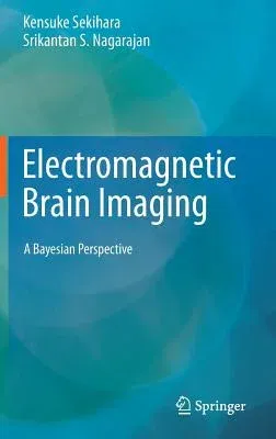 Electromagnetic Brain Imaging: A Bayesian Perspective (2015)