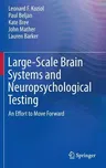 Large-Scale Brain Systems and Neuropsychological Testing: An Effort to Move Forward (2016)