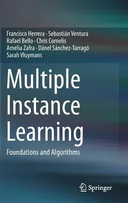 Multiple Instance Learning: Foundations and Algorithms (2016)