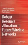 Robust Resource Allocation in Future Wireless Networks (2017)